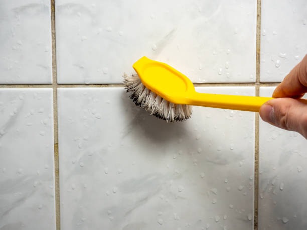 Best Best Mold Removal Companies  in Gerdine, AL