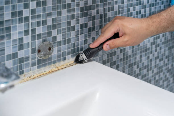 Best Local Mold Removal Service  in Gerdine, AL